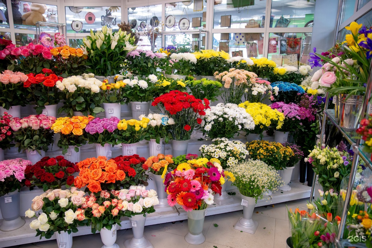 Где Можно Купить Цветы Ярославль