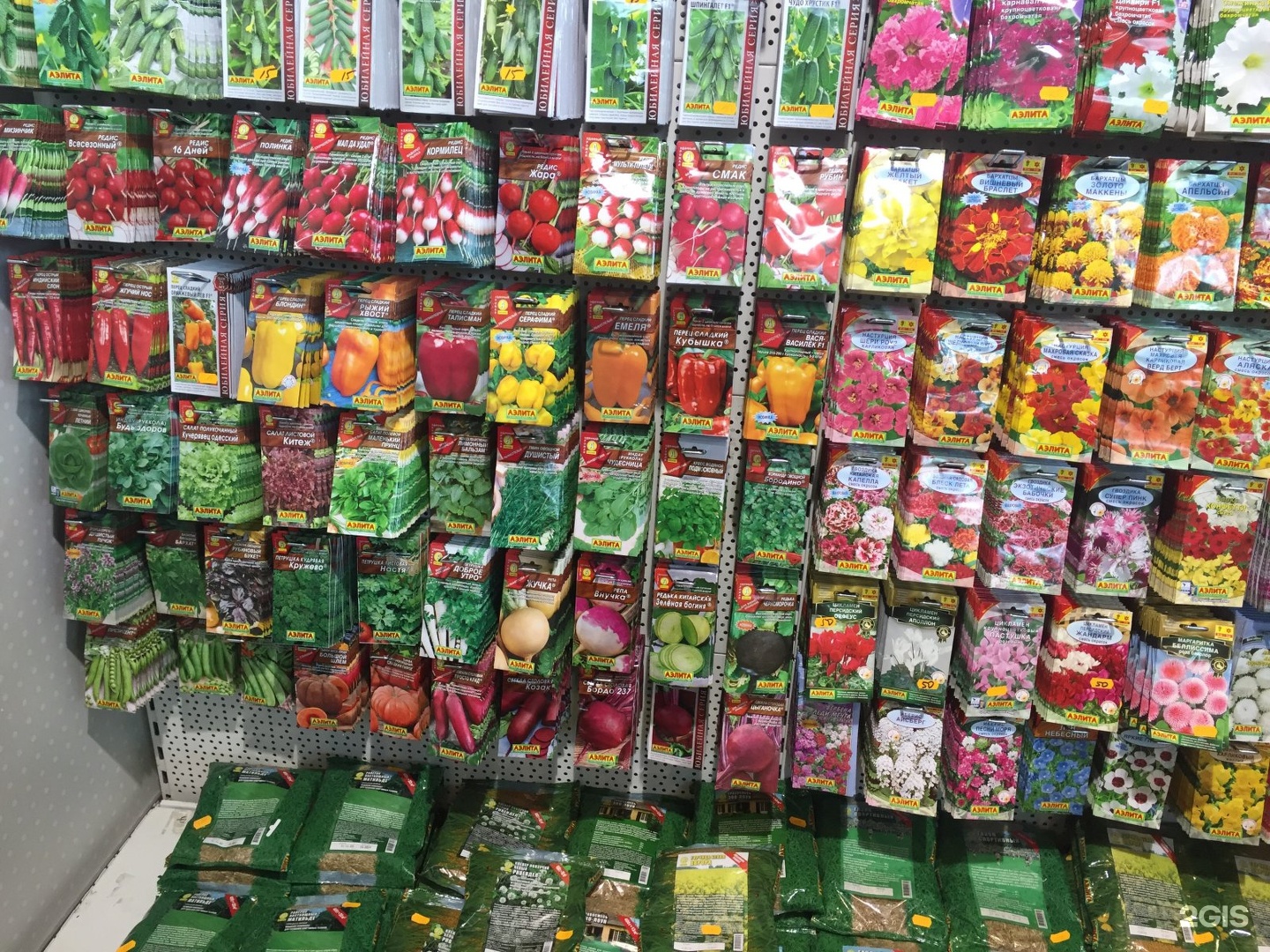 Где Купить Семена Цветов В Москве
