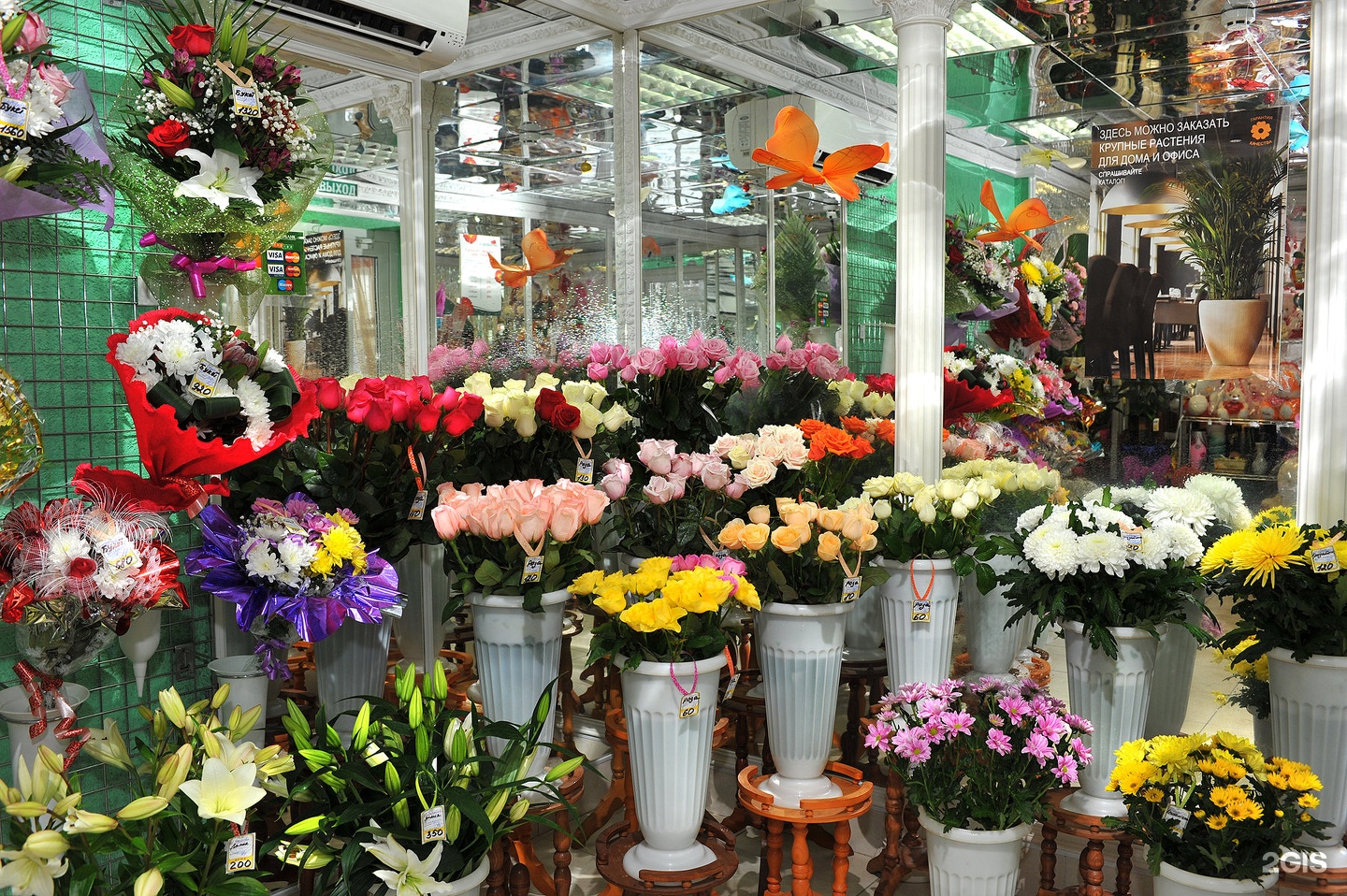Орхидея в цветочном магазине
