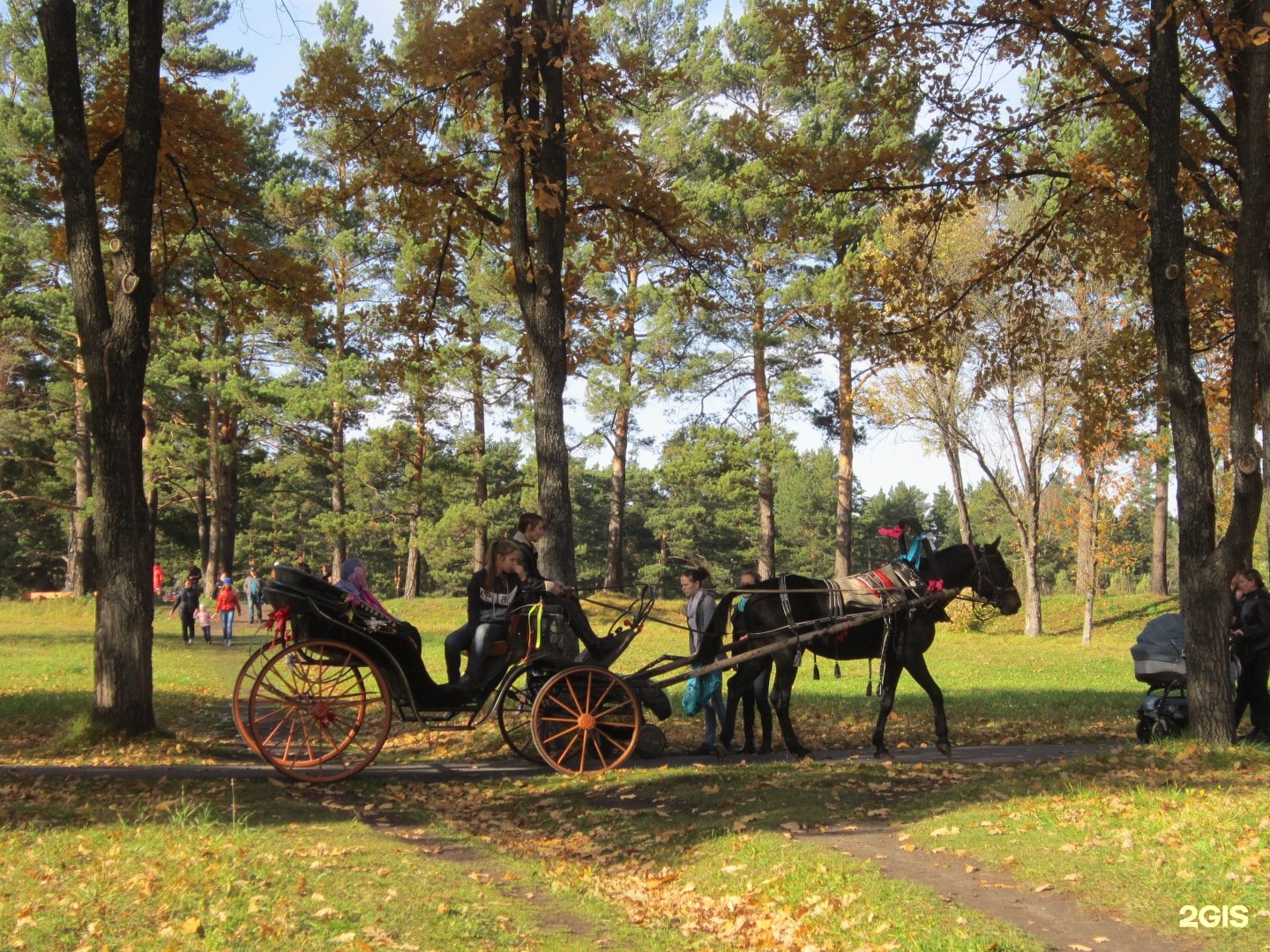 прокопьевск парки