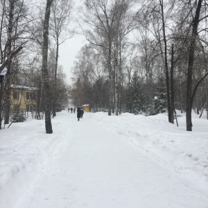 Фото от владельца Центральный парк культуры и отдыха