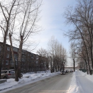 Фото от владельца ТЕХНОСФЕРА, ООО, фирма по уборке снега и спилу деревьев