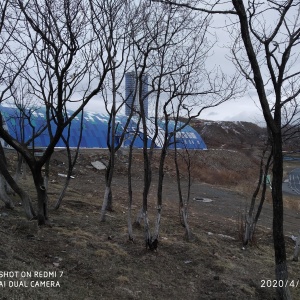 Фото от владельца Змеинка, картодром