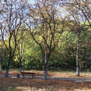 Фото от владельца Дюковский сад, парк культуры и отдыха