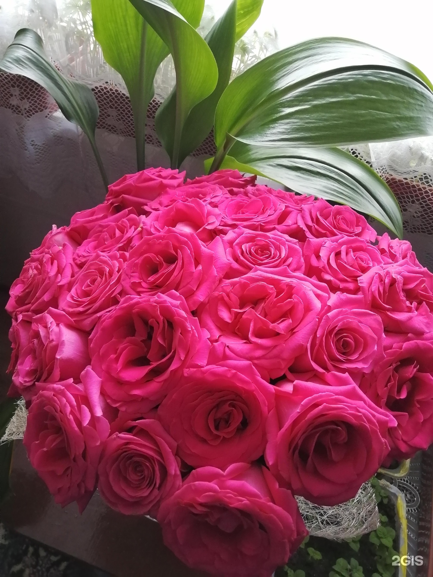 Цветы 22 рф барнаул. Популярные цветы 22. 22 цветов. Цветы 22 барнаул. 22 цветов.