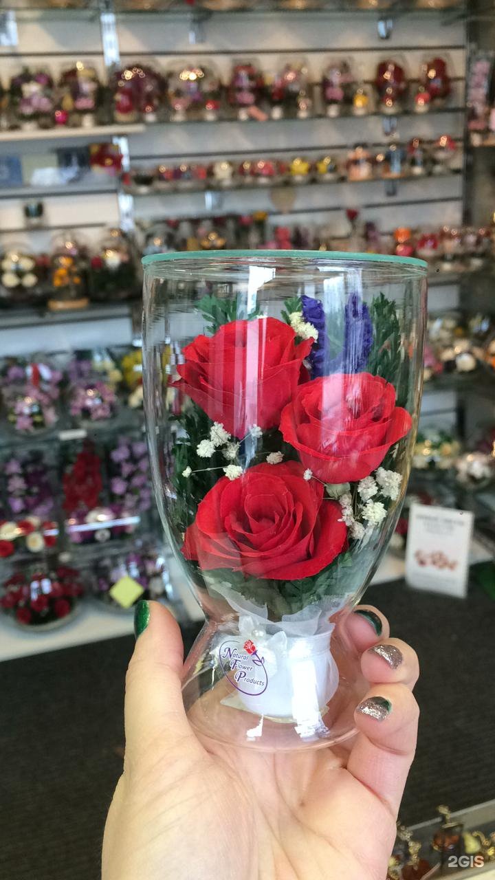 Цветы В Вакууме Купить Оптом