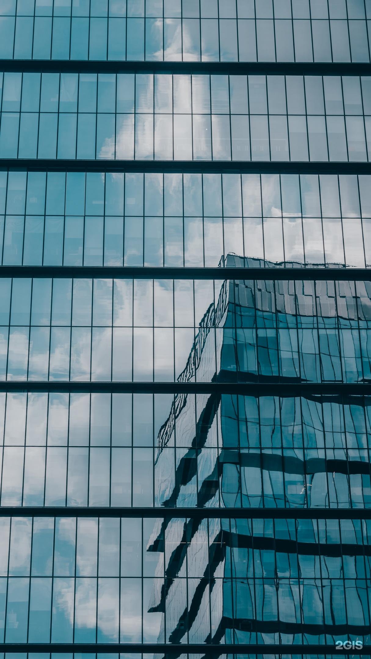 Лотос трейдинг. Лотос трейдинг