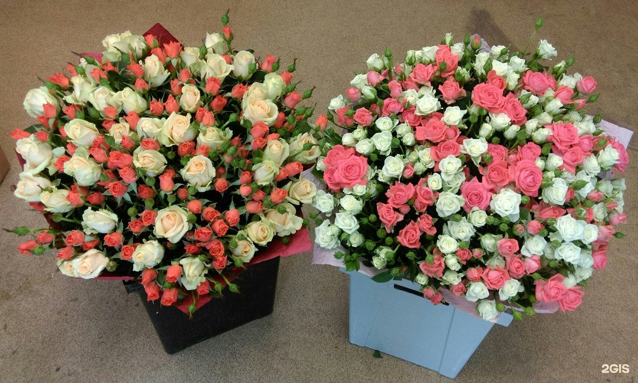 Купить Цветы В Белгороде Недорого Розы Белогорья