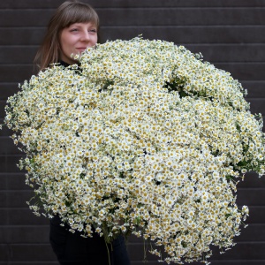 Фото от владельца La Fleur, цветочный салон