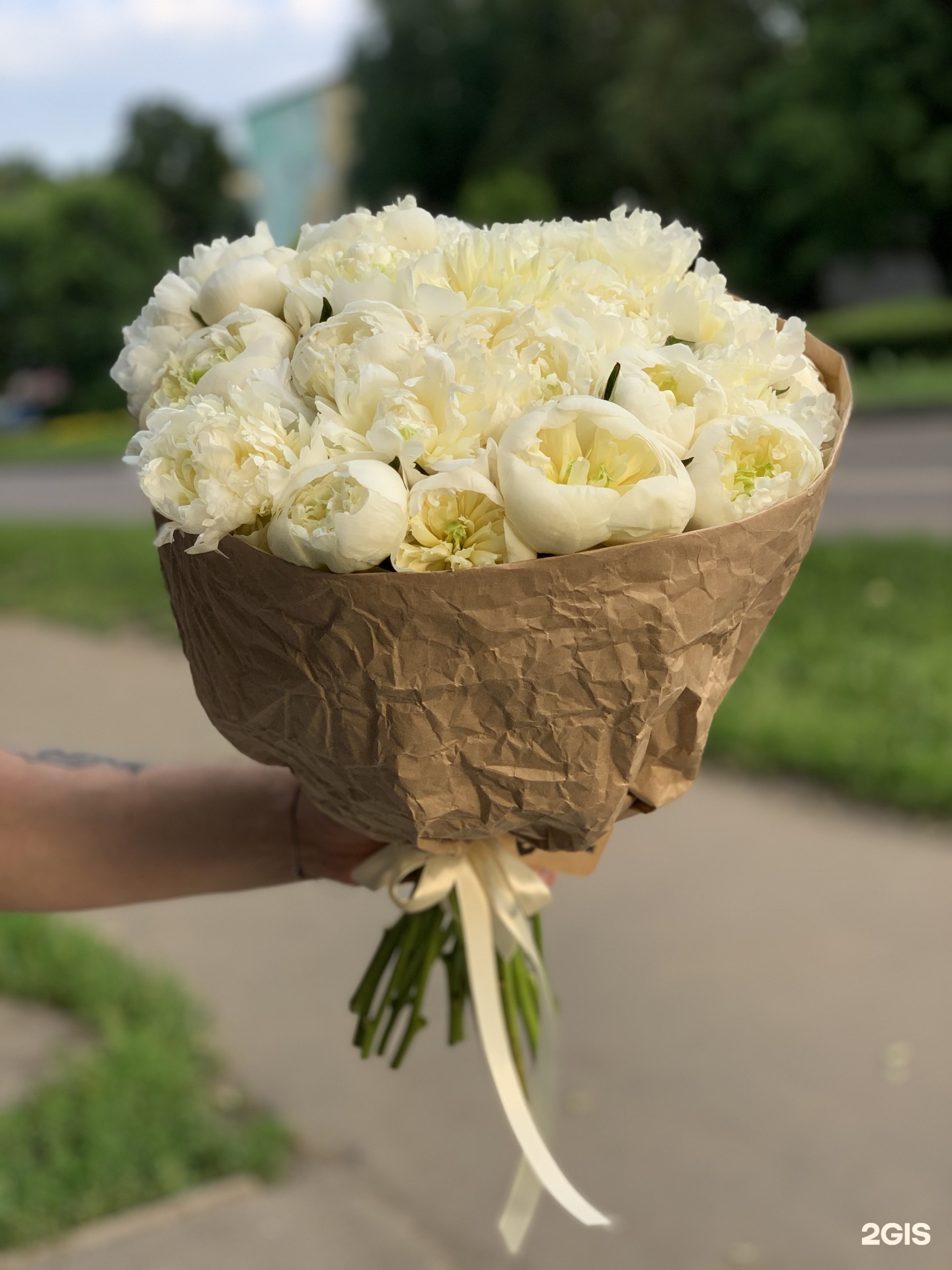 Купить Цветы В Коломне Недорого
