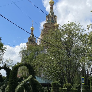 Фото от владельца Собор святых апостолов Петра и Павла