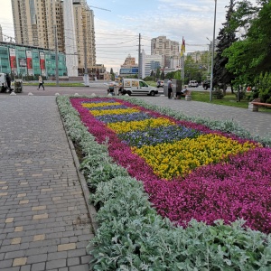 Фото от владельца Победа, дендропарк