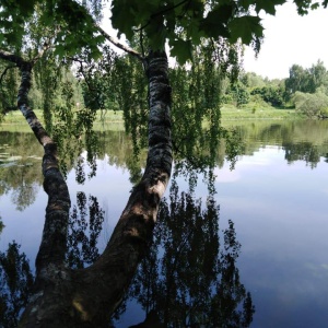 Фото от владельца Кузьминки, парк культуры и отдыха