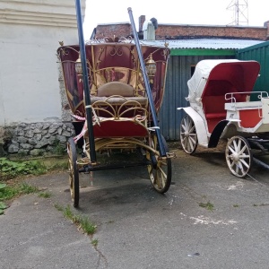 Фото от владельца Центральный парк развлечений им. М. Горького