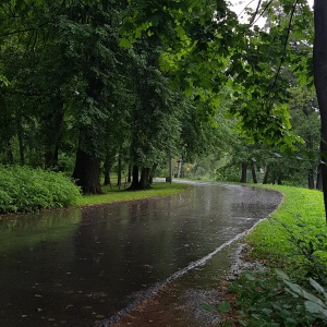 Фото от владельца Центральный парк культуры и отдыха им. С.М. Кирова