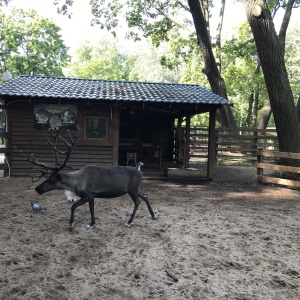 Фото от владельца Центральный парк культуры и отдыха им. С.М. Кирова