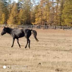 Фото от владельца Якутская городская национальная гимназия