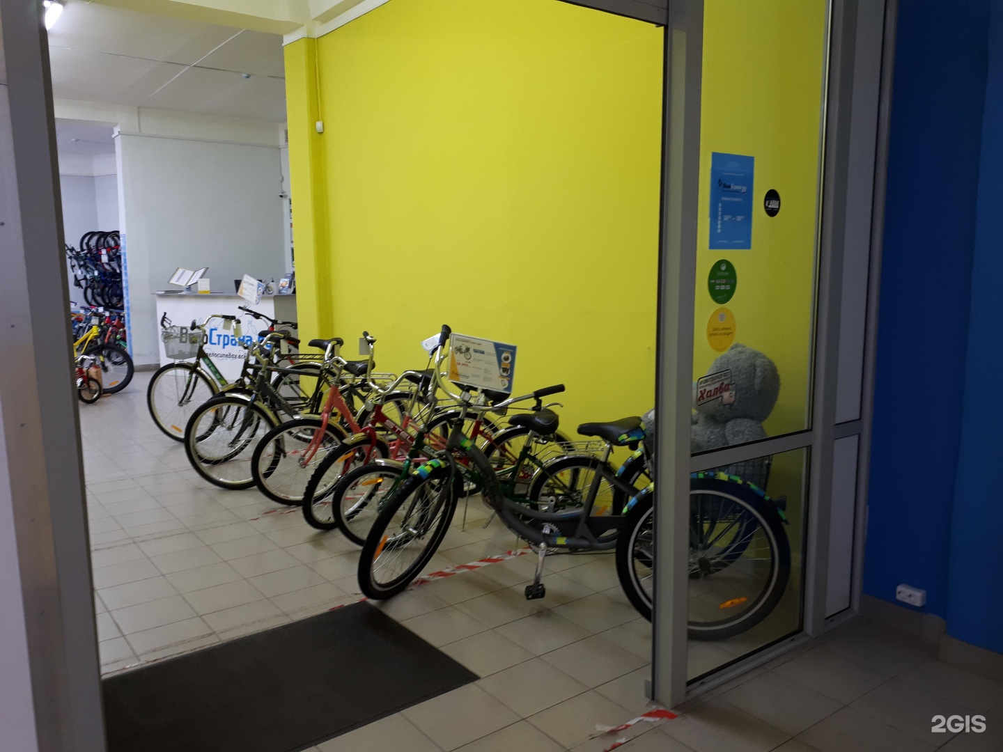 велострана ярославль. московский 141 ярославль. калининград московский проспект 141. московский проспект 141 ярославль панорама. московский проспект 141 ярославль.