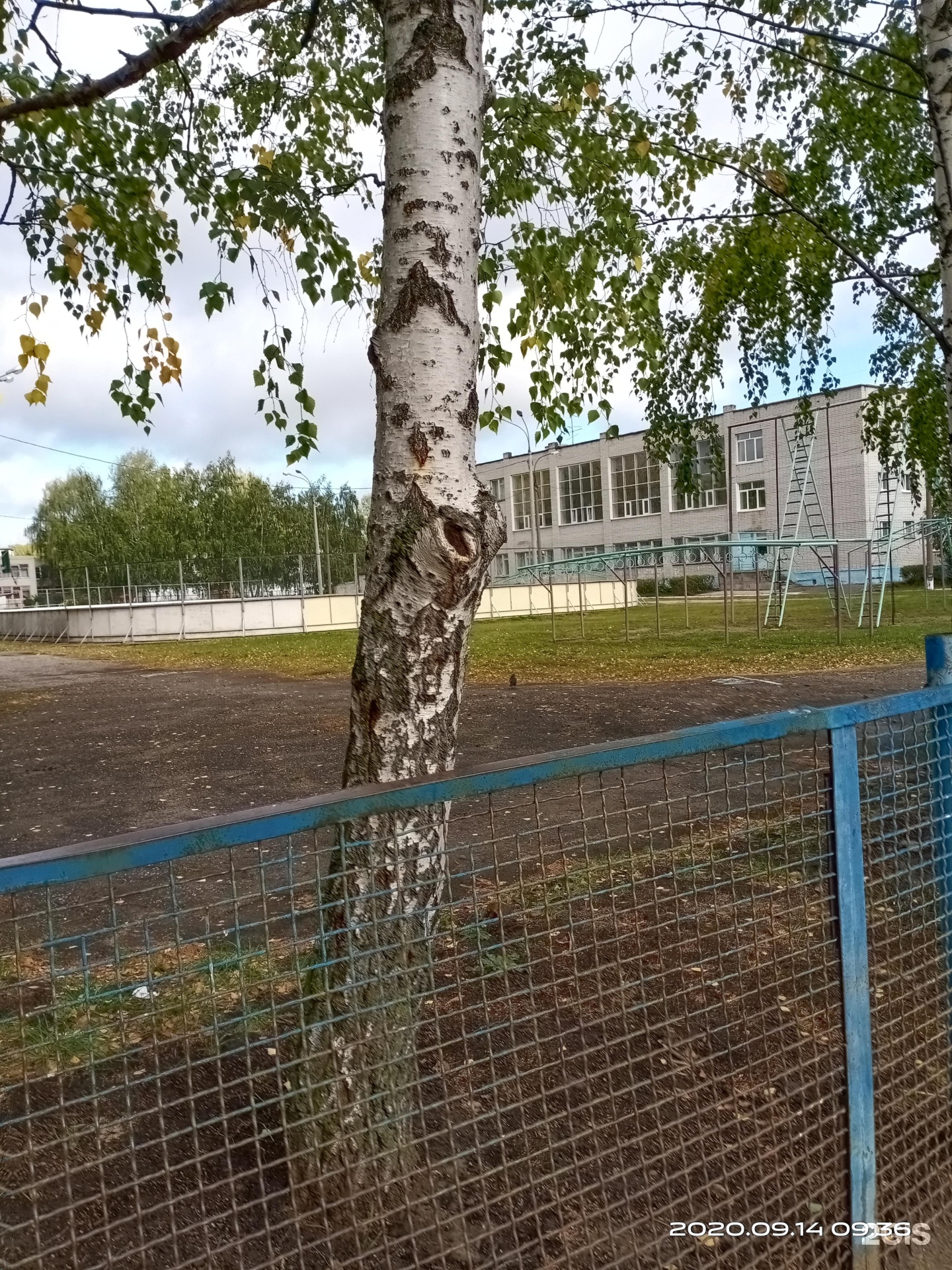 Школа 111 нижний новгород. Веденяпина улица Нижний Новгород 111 школа.
