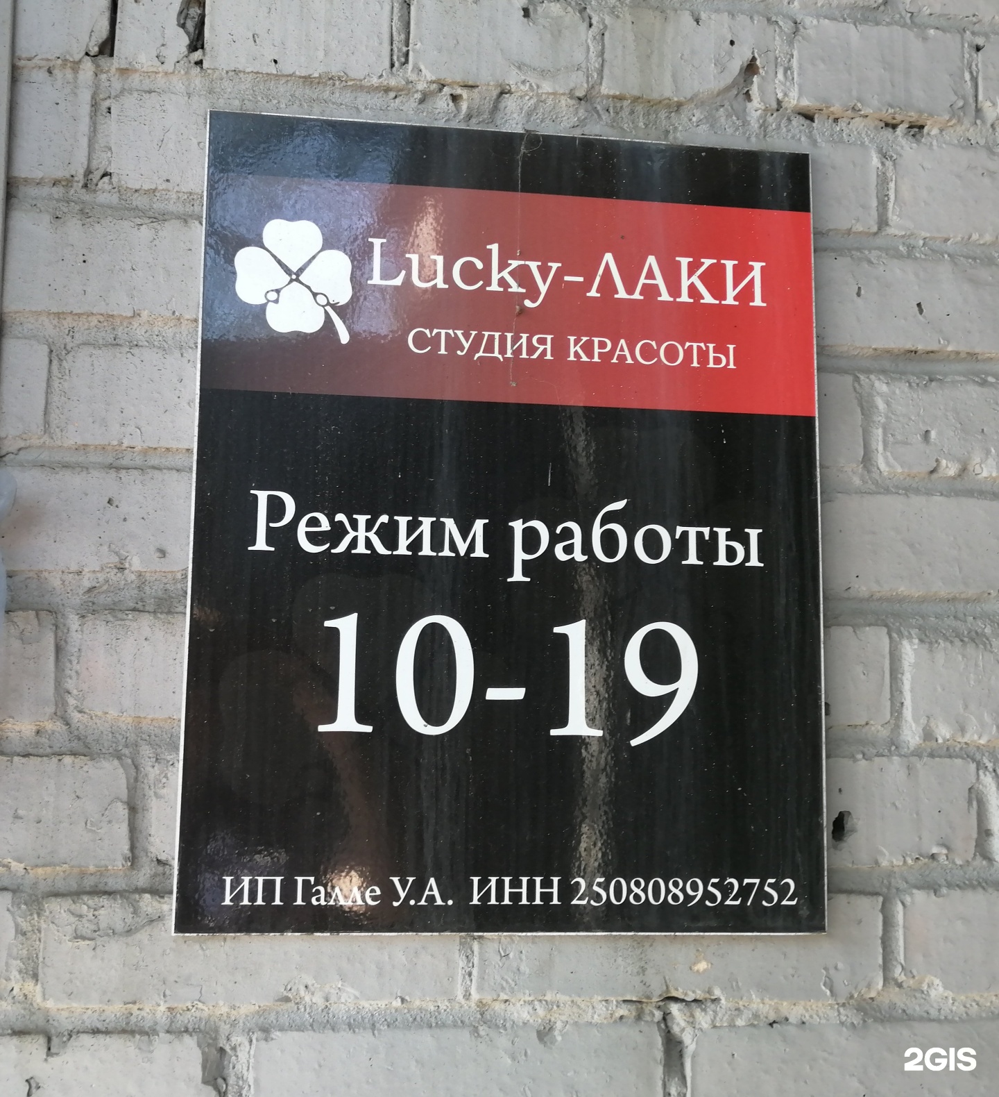 Отзыв студия лак жуковский
