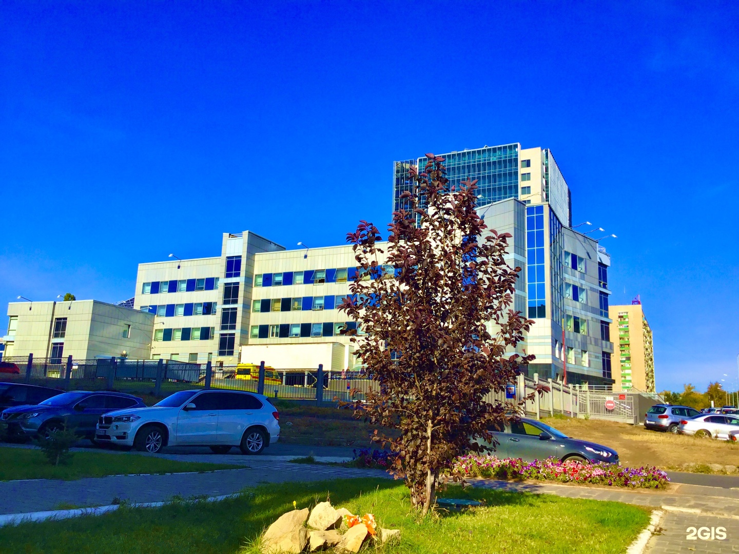 Г оренбург пер бассейный 1. Пер бассейный 1. Центр промышленной медицины железногорск. Пер бассейный 1. Пер бассейный 1.