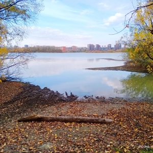 Фото от владельца Бугринская роща, парк культуры и отдыха