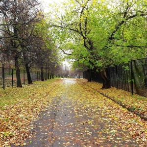 Фото от владельца Садовники, парк