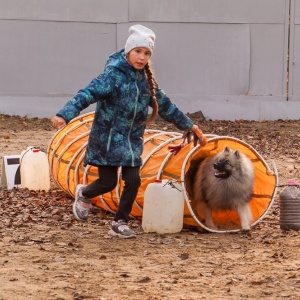 Фото от владельца АБВГДЕЙКА, школа для собак