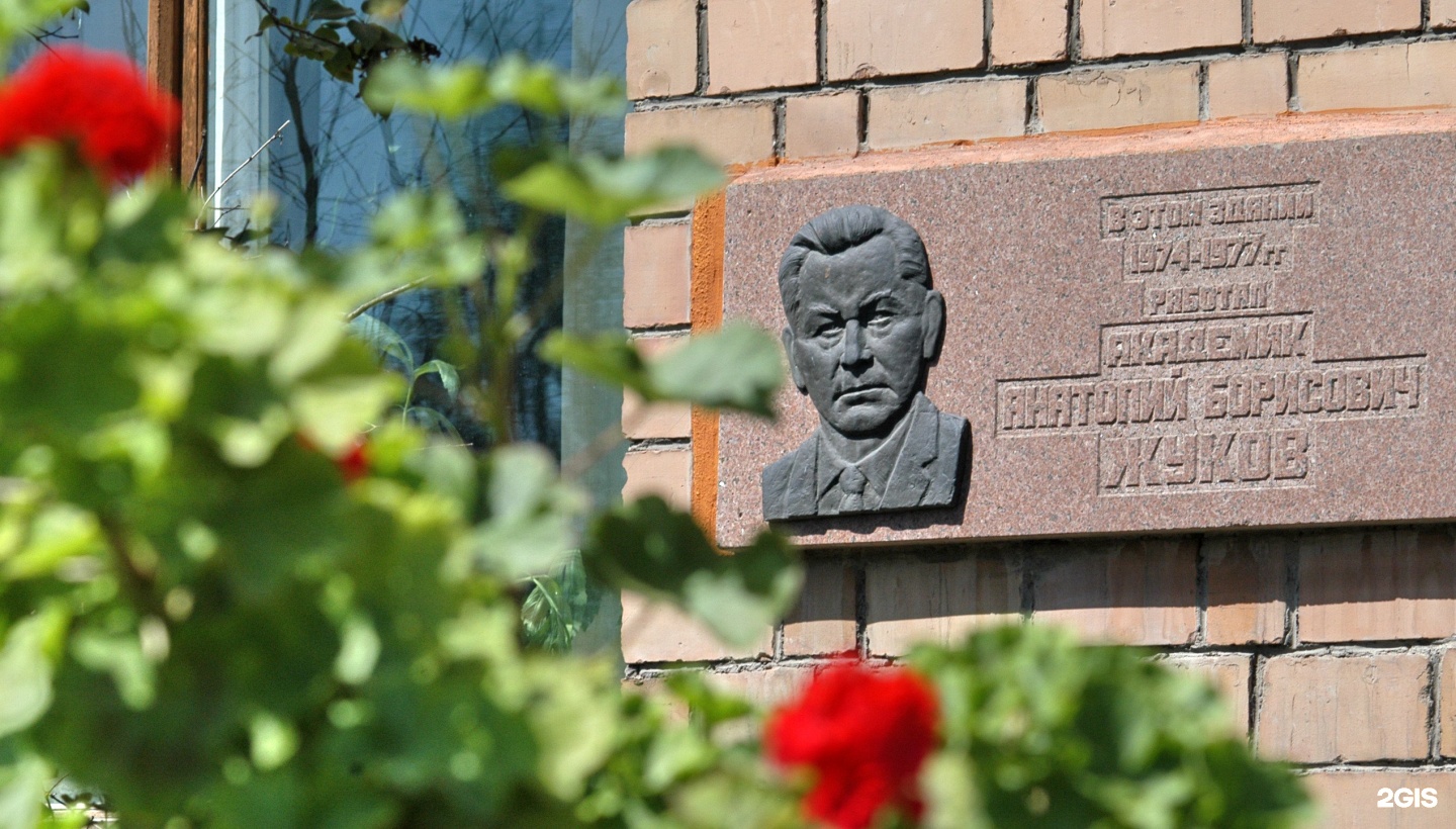 Институт леса им. Институт леса им в. Институт леса имени сукачева красноярск. В. В.