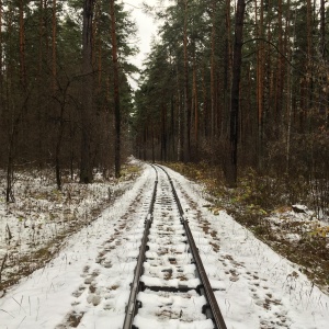 Фото от владельца Заельцовский, парк культуры и отдыха