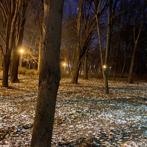 Фото от владельца Северное Тушино, музейно-парковый комплекс