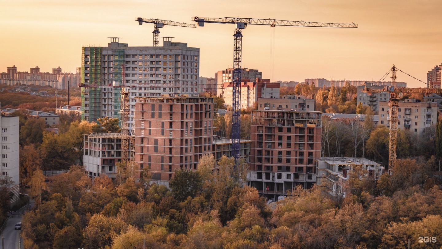 Жилой комплекс березовая. Жилой комплекс Берёзовая роща. Воронеж новостройки. ЖК автора. Улица Рощи 4 жизни.