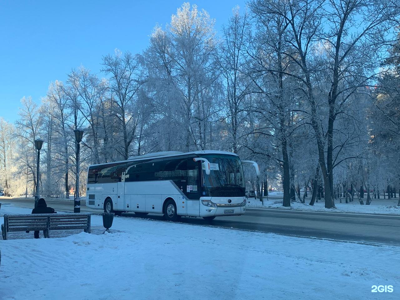 Сиб автобус. СИБАВТО автобусы. Сиб авто Юг.