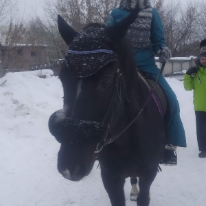 Фото от владельца Destreza, студия артистического фехтования