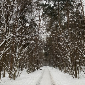 Фото от владельца Парк культуры и отдыха, г. Жуковский