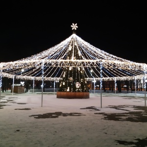 Фото от владельца Городской парк культуры и отдыха им. Ю.А. Гагарина