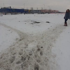 Фото от владельца Мега, семейный торговый центр