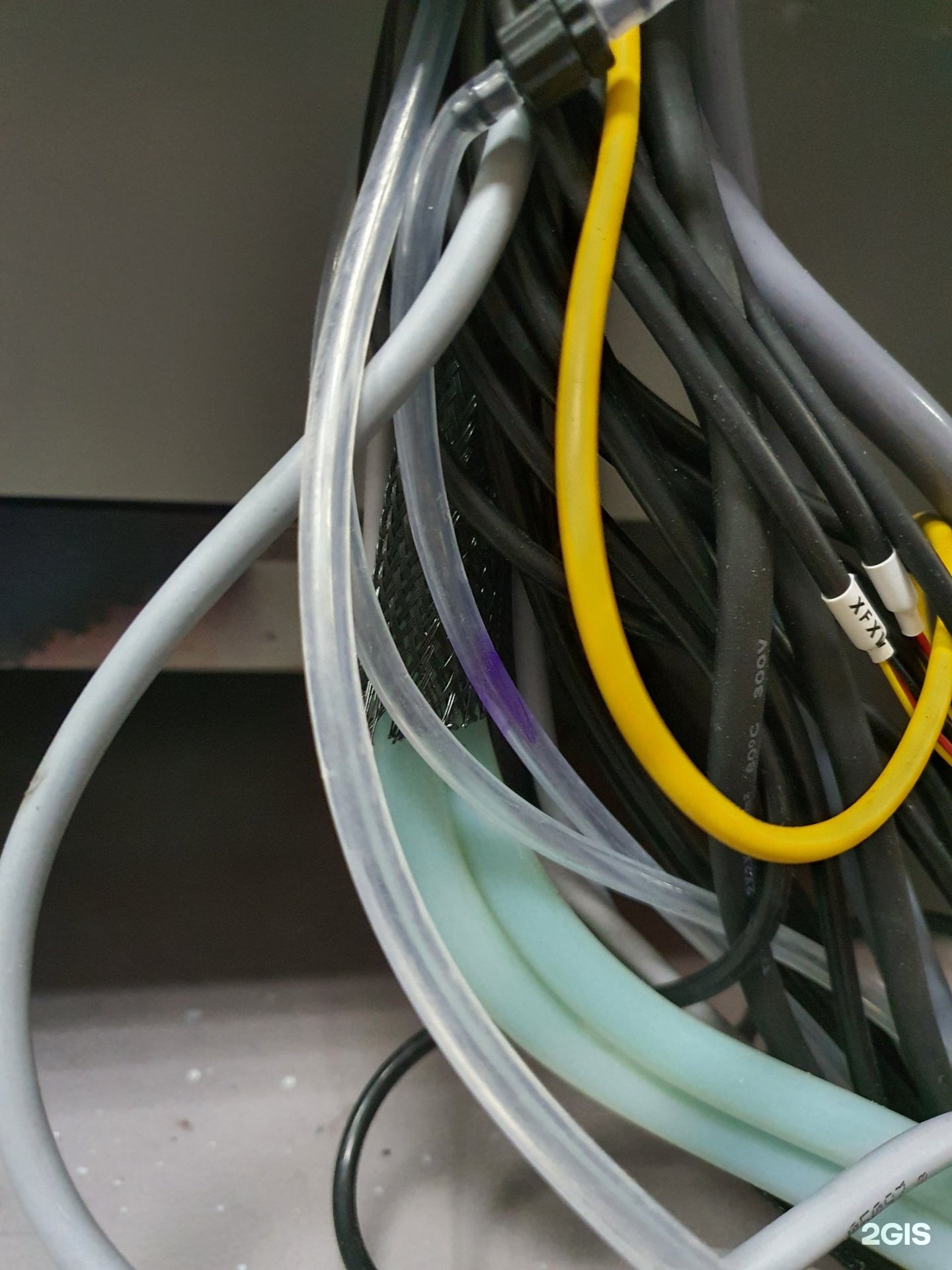 3 ти групп. Alians дота 2. Alliance dota 2 2013. Москва джем группа. Флаг болгарии 1939.