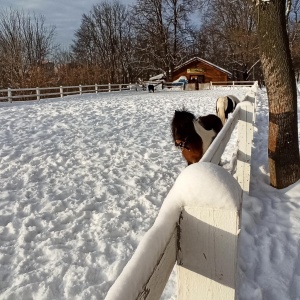 Фото от владельца Городской парк культуры и отдыха им. Виктора Талалихина