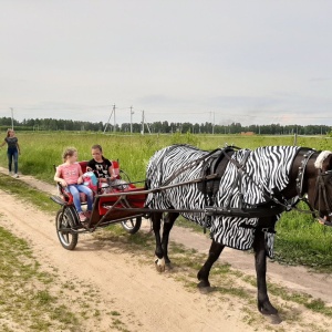 Фото от владельца Royal Horse, конный клуб