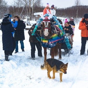 Фото от владельца Royal Horse, конный клуб