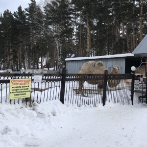 Фото от владельца Ашмарино, ООО, спортивно-оздоровительный комплекс