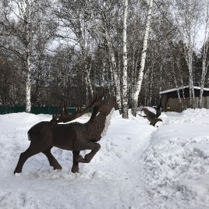 Фото от владельца Ашмарино, ООО, спортивно-оздоровительный комплекс