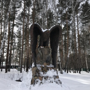 Фото от владельца Ашмарино, ООО, спортивно-оздоровительный комплекс