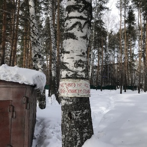 Фото от владельца Солнечный, детский оздоровительный лагерь