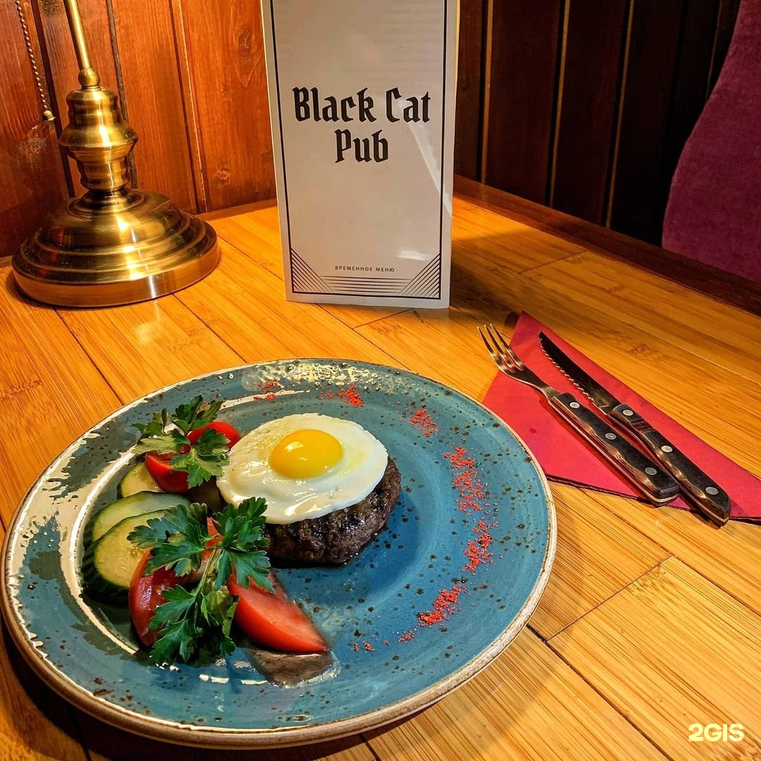 Cat pub. Бар Black Cat. Паб черный кот Удельная. Рестобар кошки. Black Cat pub, Москва.