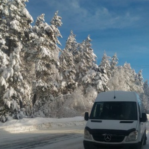 Фото от владельца АвтоЛюкс. Bus, транспортная компания