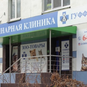 Фото от владельца ГУФФИ.РФ, ветеринарная клиника