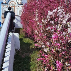 Фото от владельца Хабаровский краевой парк им. Н.Н. Муравьева-Амурского