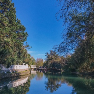 Фото от владельца Южные культуры, парк